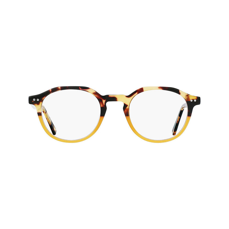 Tortoise and Orange / +1.00