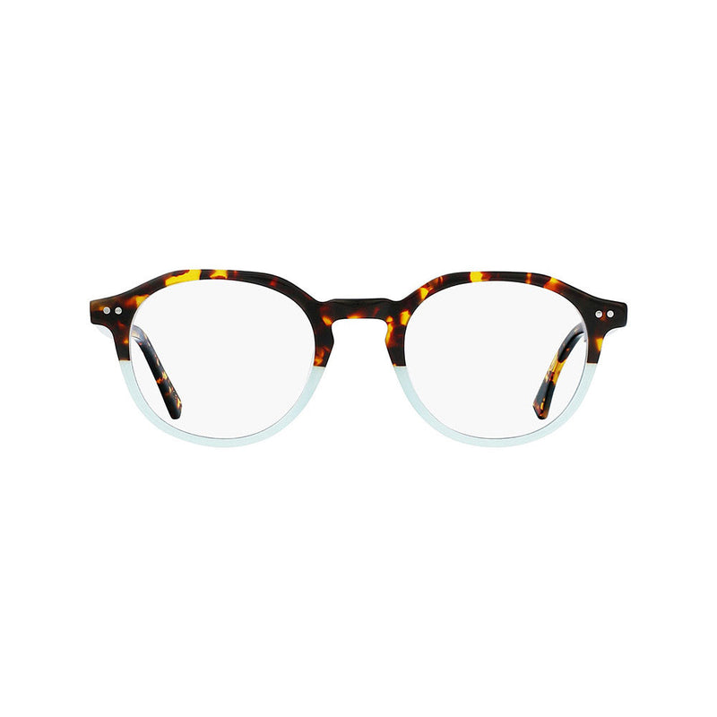 Tortoise and Turquoise / +1.00