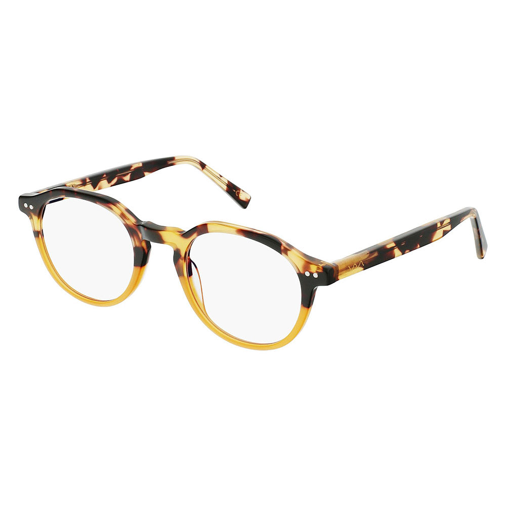 Baily Focus Prescription