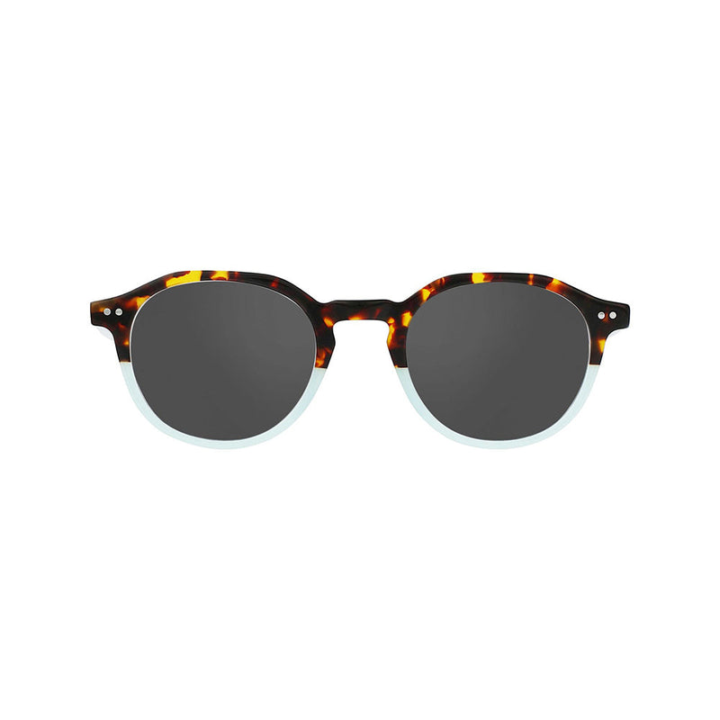 Tortoise and Turquoise