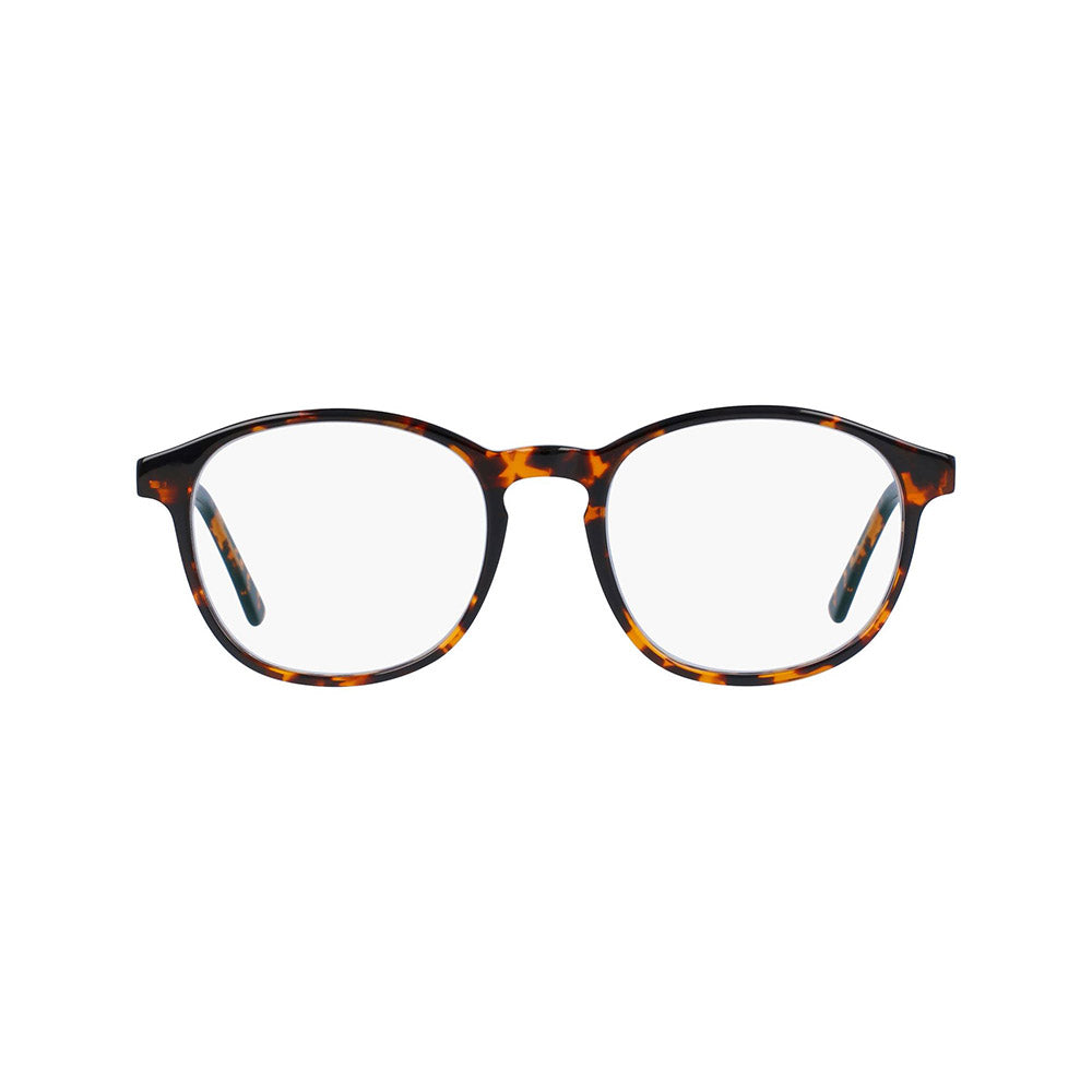 Zenith Focus Prescription