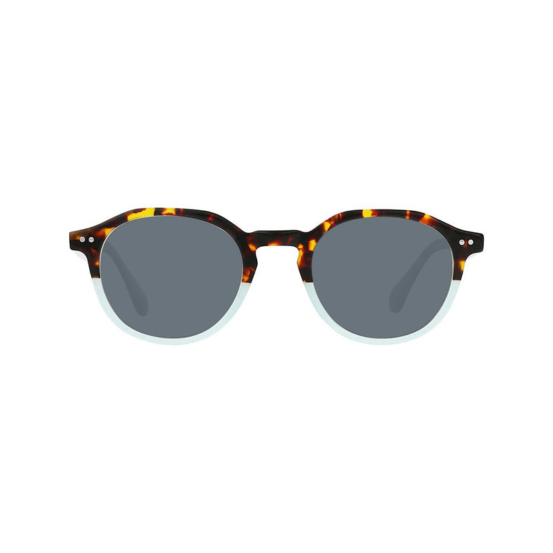 tortoise and turquoise