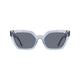 Ice Grey